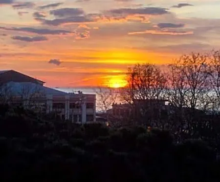 Firenze Viareggio